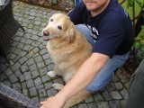 Bild-012