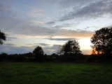 Bild-039