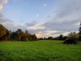 Bild-040