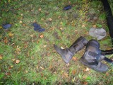 Bild-091