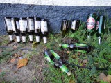 Bild-097